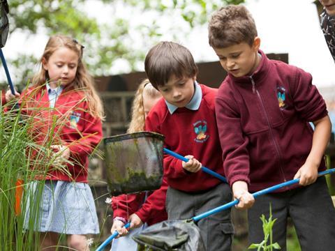 Pond dipping