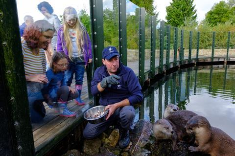 WWT Slimbridge Wetland Centre 