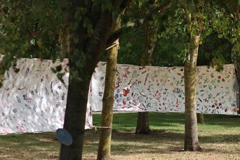 Hanging tapestry between trees