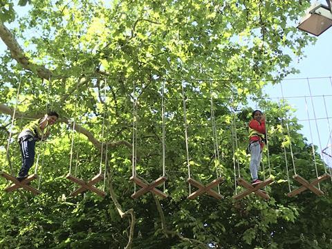 Children from Lyndhurst Primary School at Go Ape