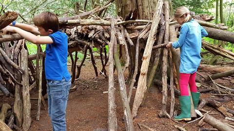 Children building a den