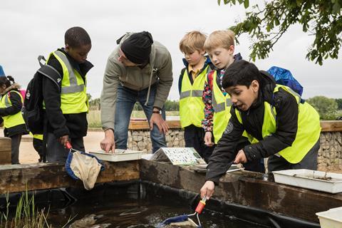 Primary school pond dipping as part of Wildlife Trusts' study