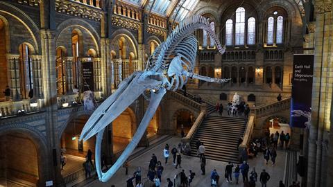 Natural History Museum
