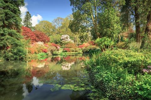 Exbury Gardens pond