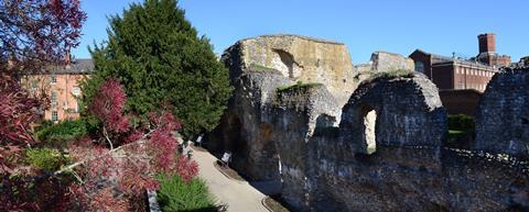 Reading Abbey Ruins