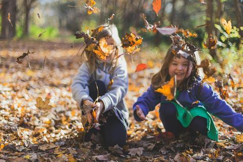 Children playing in leaves