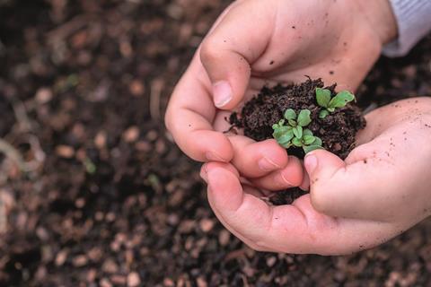 Kids planting seeds