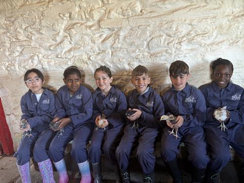 St Woolos Primary School pupils with chicks at the farm