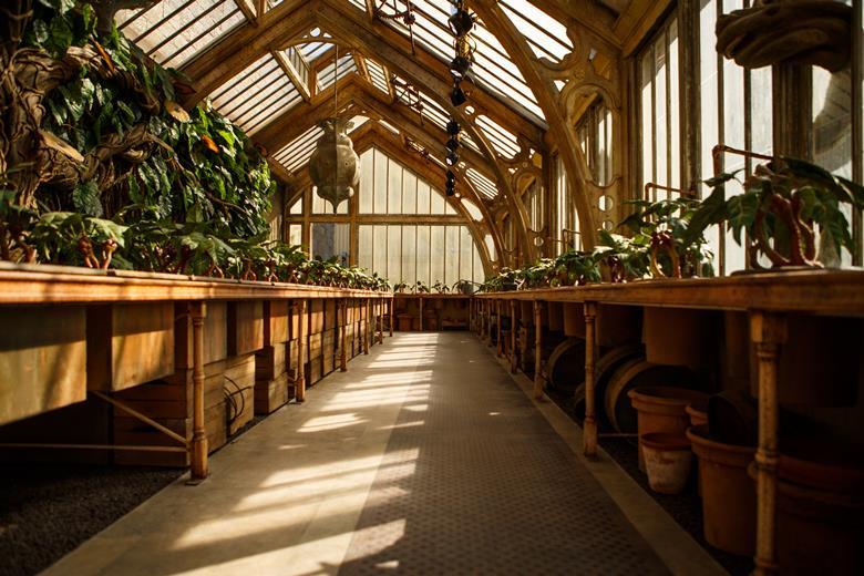 Pupils can now uncover Professor Sprout’s greenhouse at the Making of