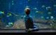 Child visiting an aquarium